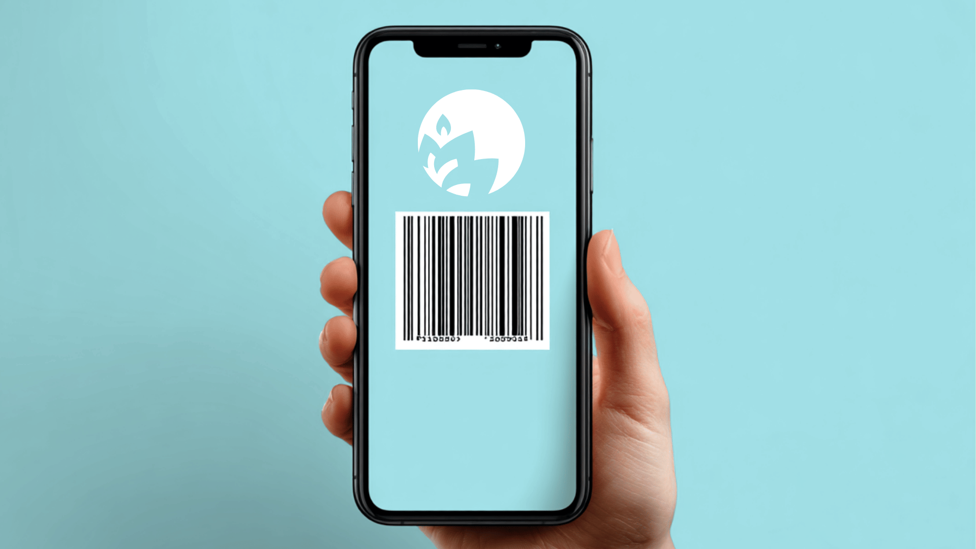 Hand holding smartphone with barcode scanner app