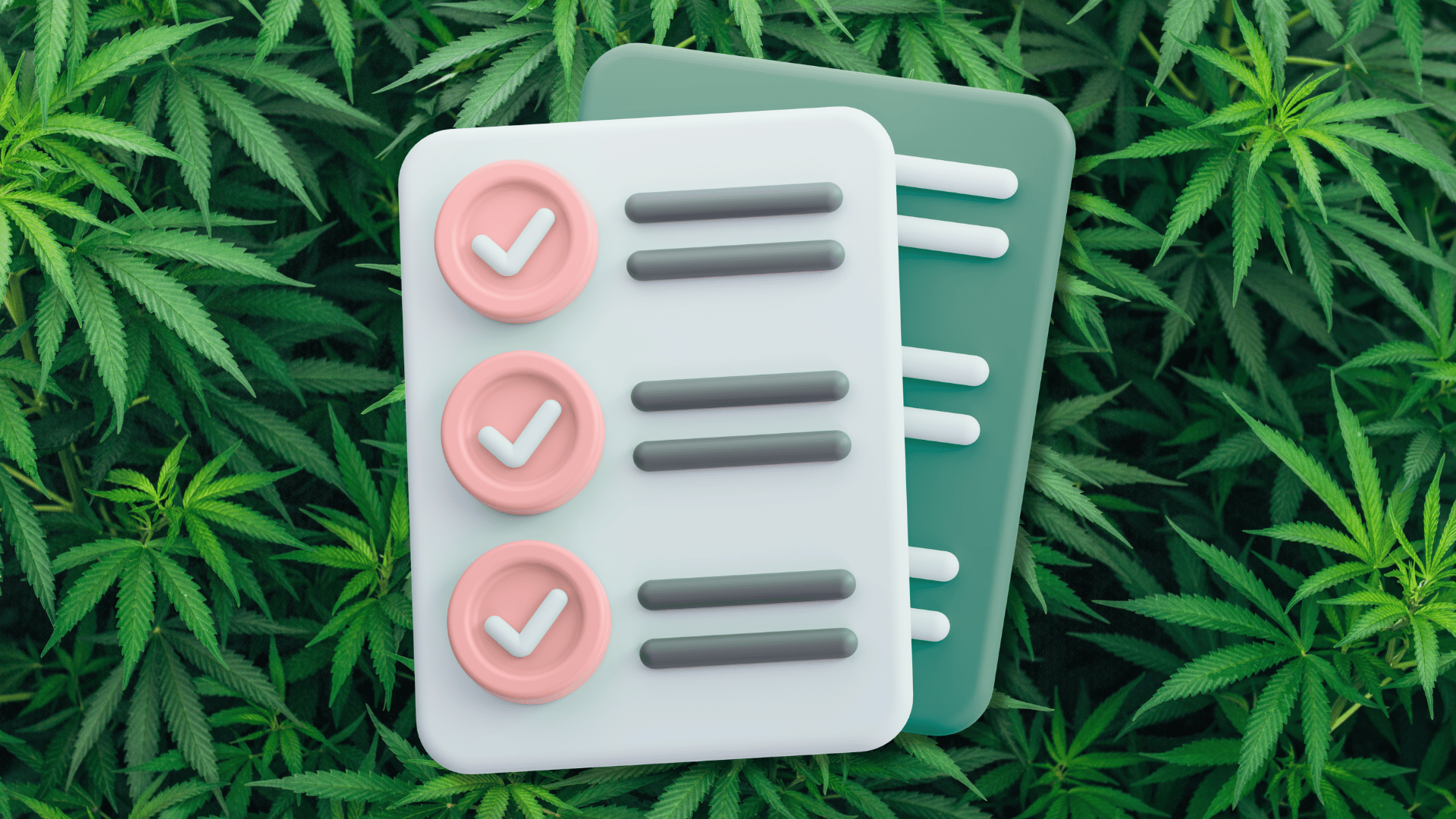 Cannabis compliance checklist on marijuana leaves background
