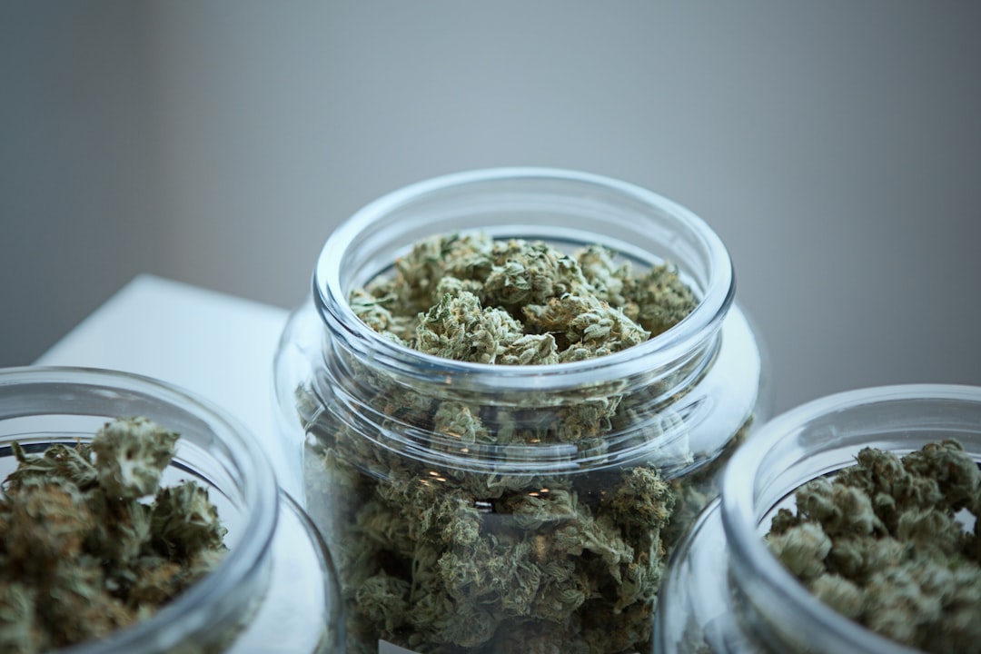 Cannabis buds in glass jars