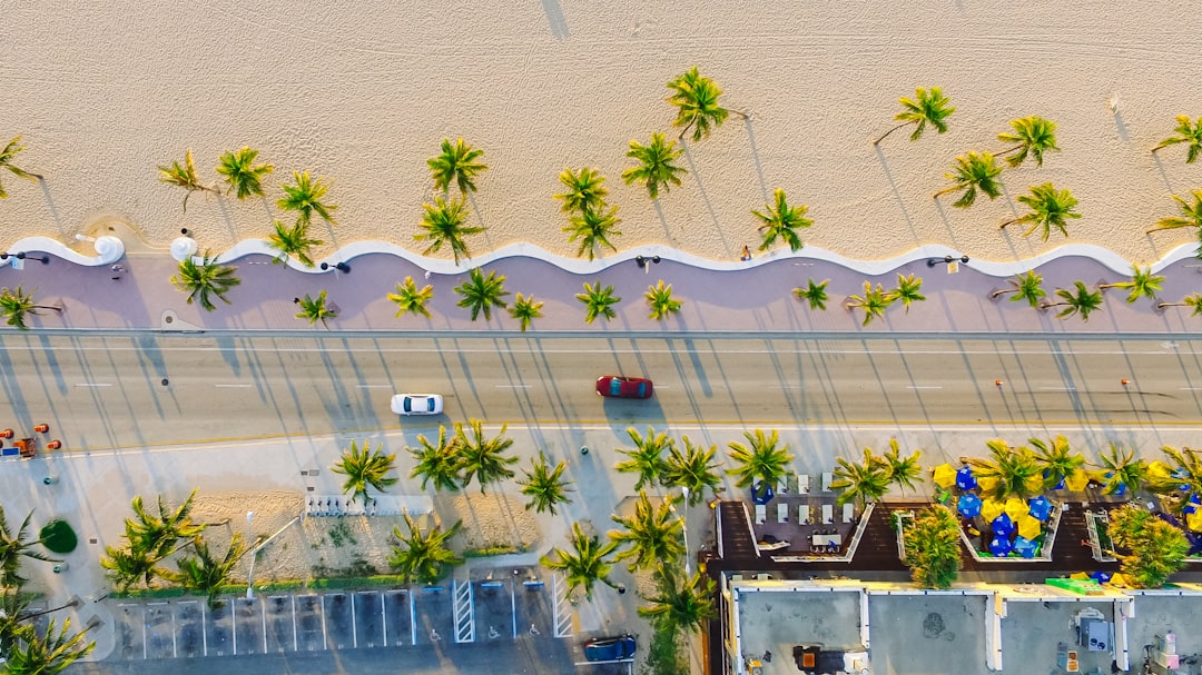 Aerial view of palm-lined beach road