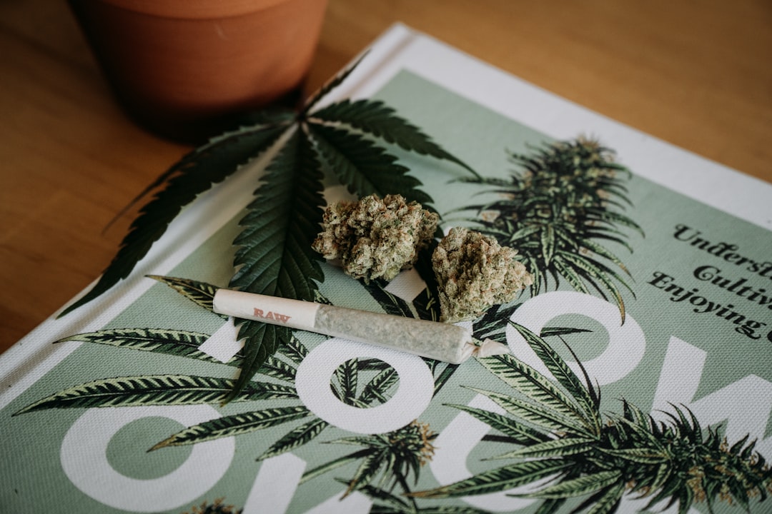 Cannabis buds and joint on marijuana leaf