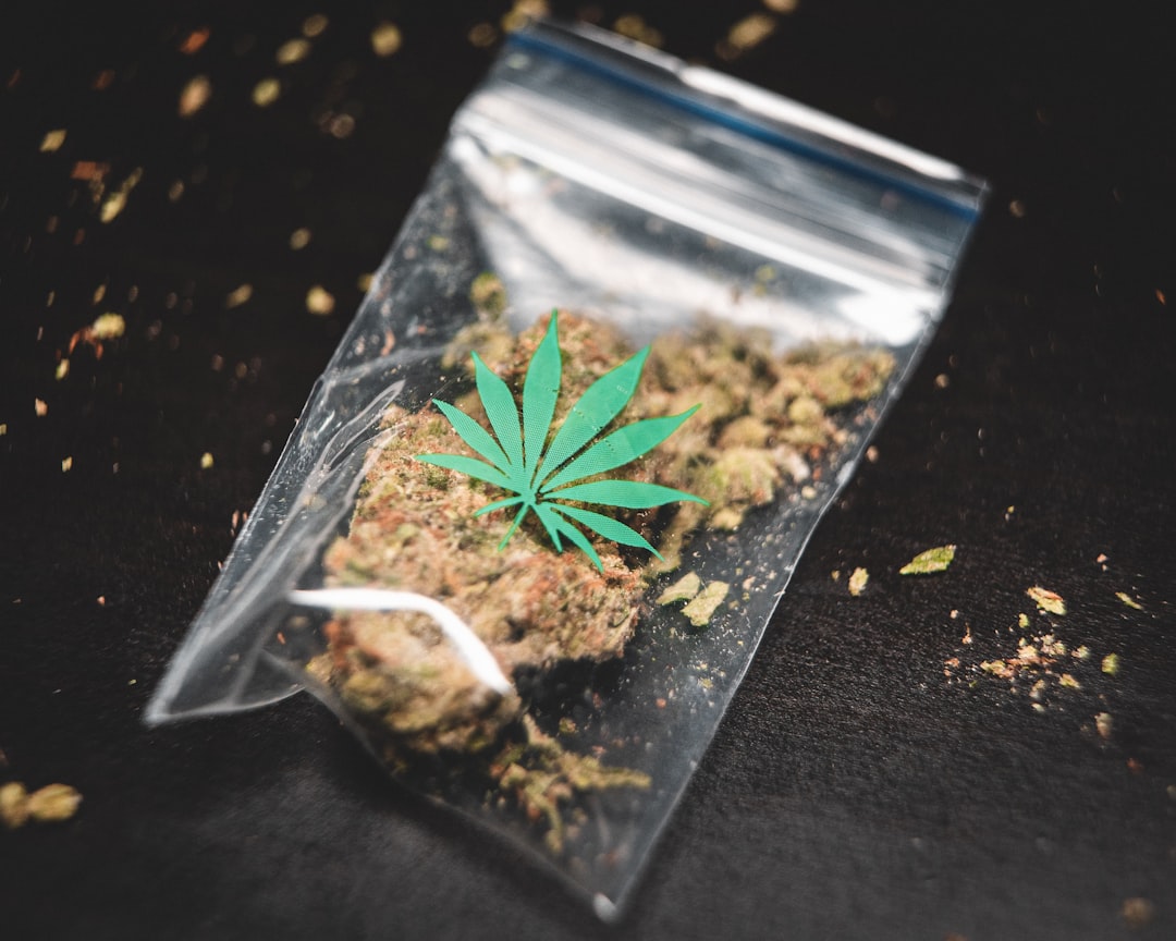 Cannabis buds in plastic bag on table