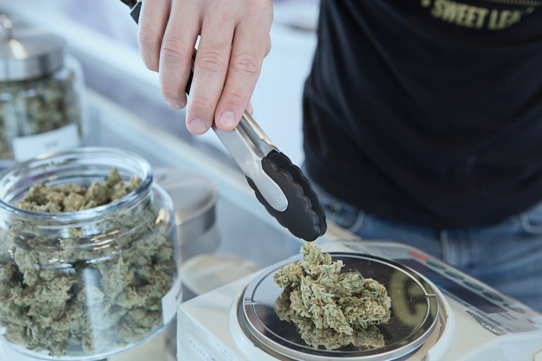 Weighing cannabis buds on digital scale