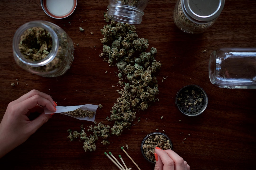 Rolling cannabis joint with marijuana and grinder