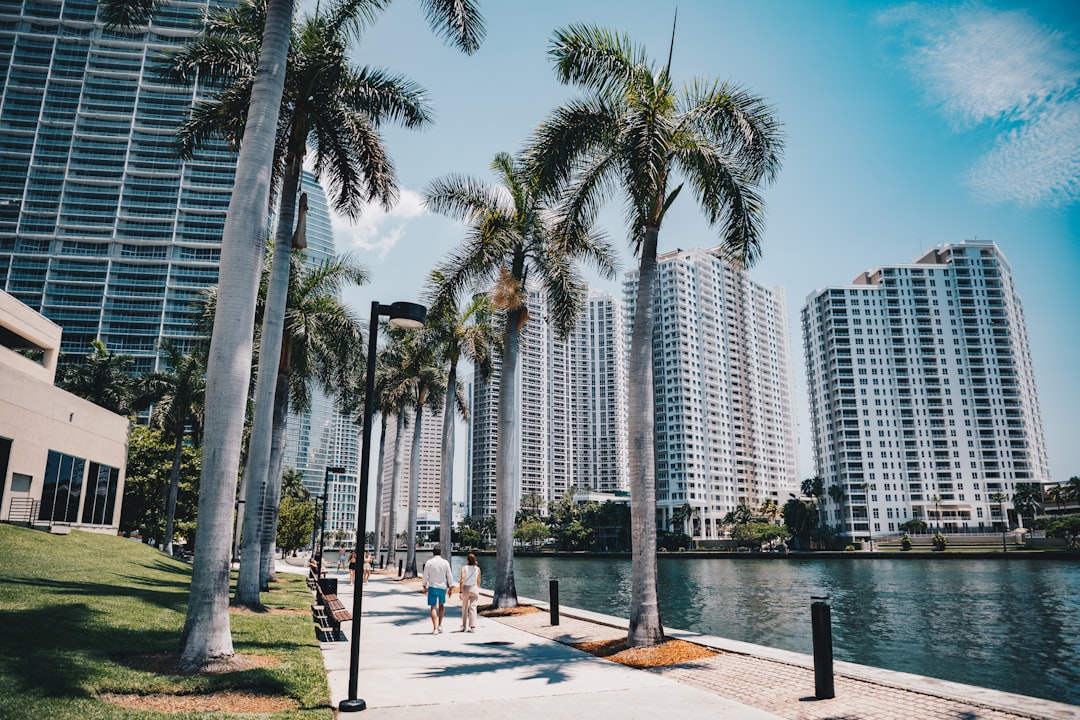 People walking near palm trees and tall buildings