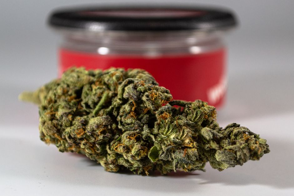 Close up of cannabis bud with red jar