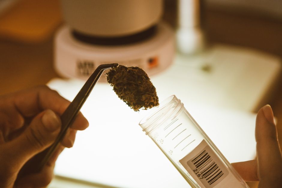 Tweezer holding cannabis near labeled vial