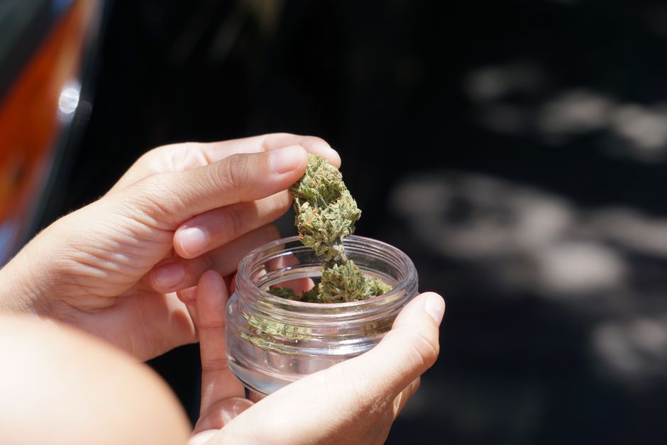 Hand picking cannabis from glass jar
