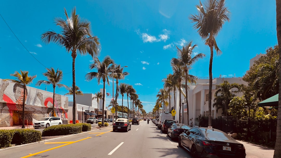 Street with palm trees and parked cars